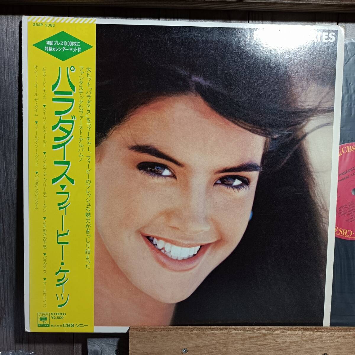 J フィービー・ケイツ Phoebe Cates 直筆サイン写真 証明書COA 5の落札