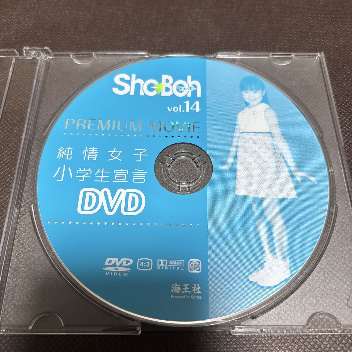 ☆Chu Boh vol.14/DVD未開封/新実菜々子/小野明日香☆送料100円☆小林