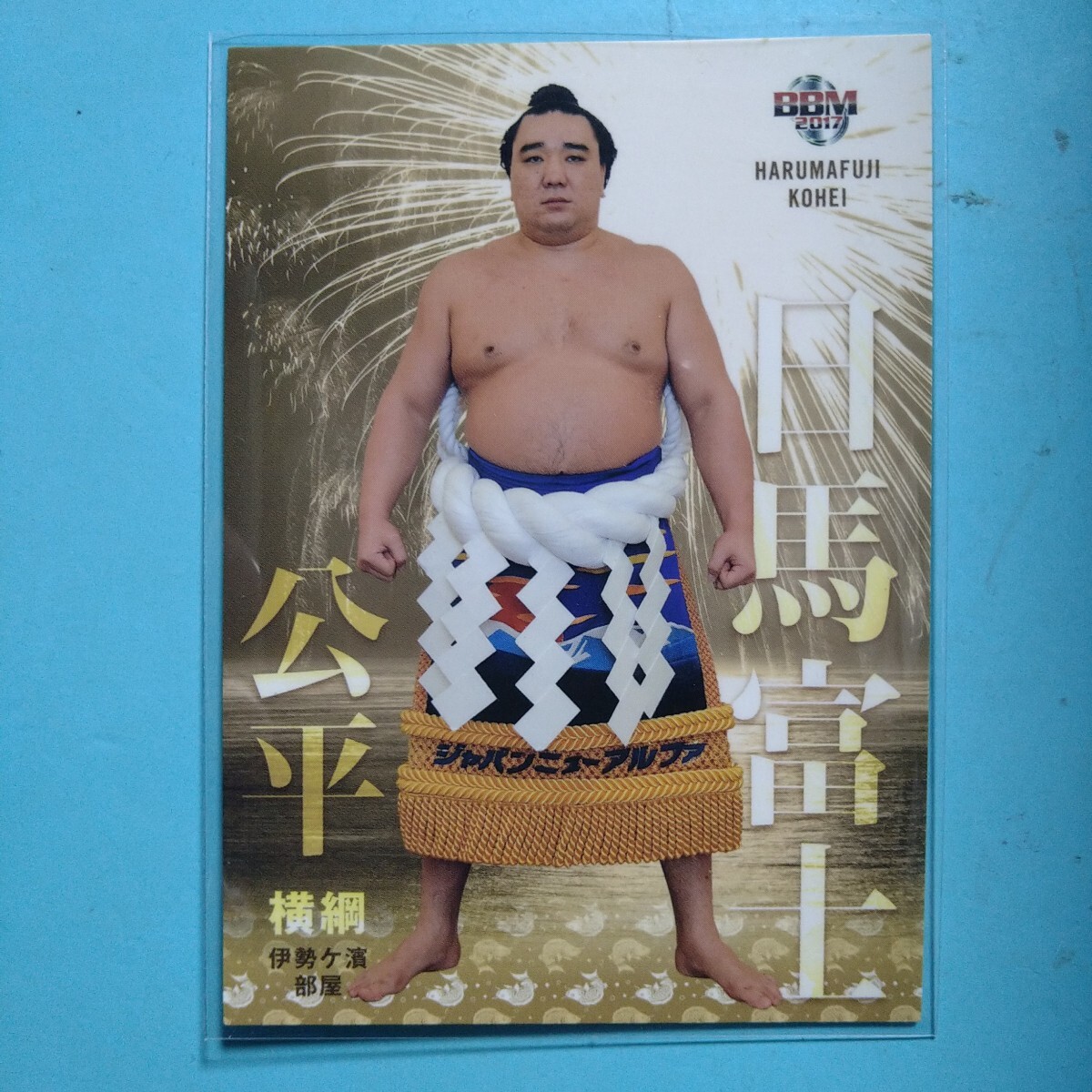 大相撲 力士 手形 サイン 色紙12枚 貴乃花 日馬富士 朝青龍 武蔵丸