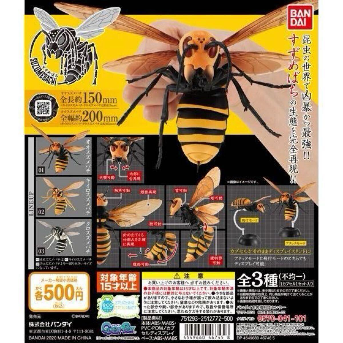 スズメバチ オオスズメバチ 世界最大 女王蜂 クイーン 昆虫標本