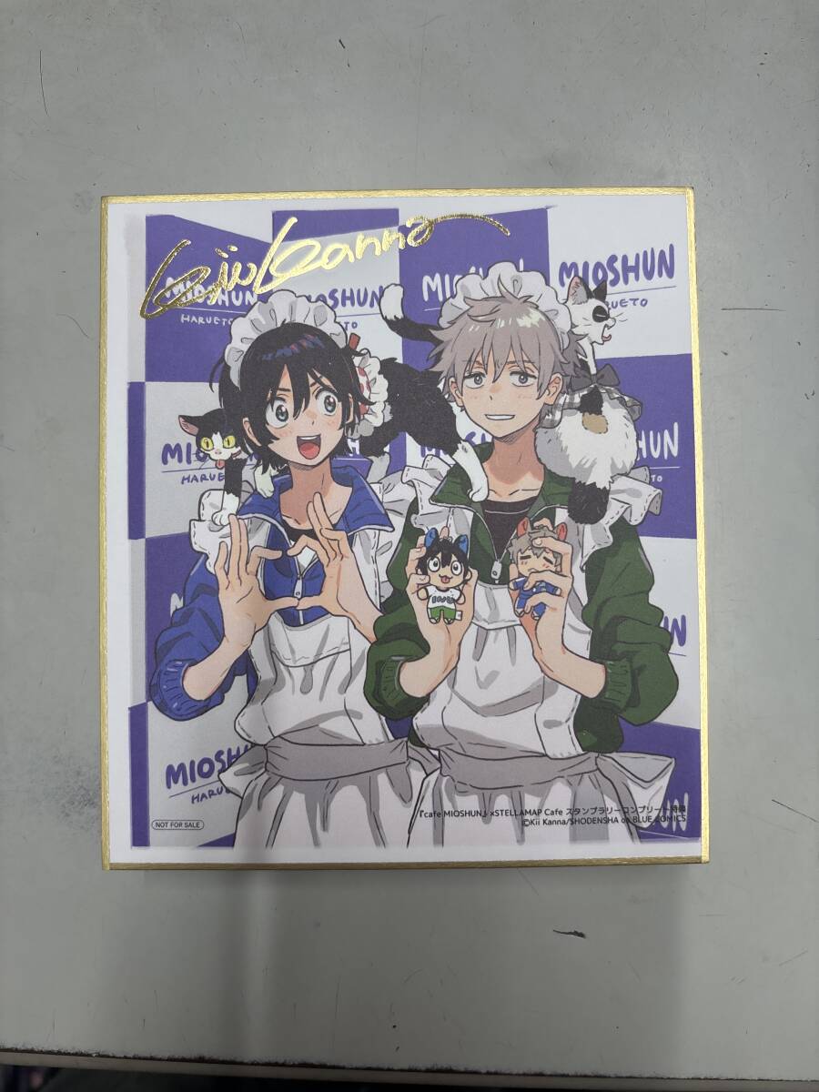 春風のエトランゼ 海辺 画集 コミック 特典 ペーパー ミニ色紙 紀伊カンナ 紀伊カンナ 【春風のエトランゼ イラストカード】サイン会P含ペーパー
