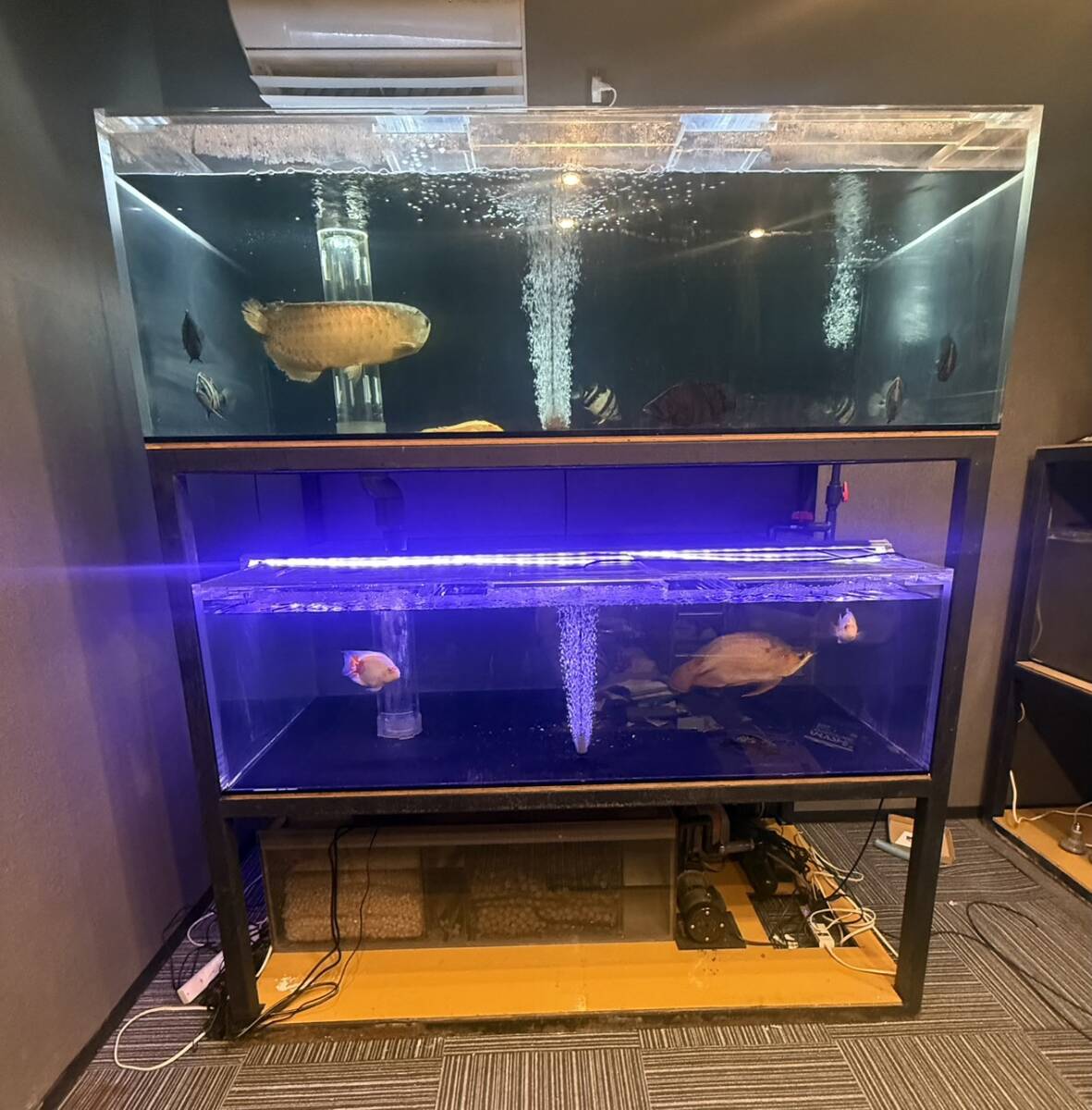 新品】1台限り！600×450×450オーバーフロー水槽 ブラックシリコン