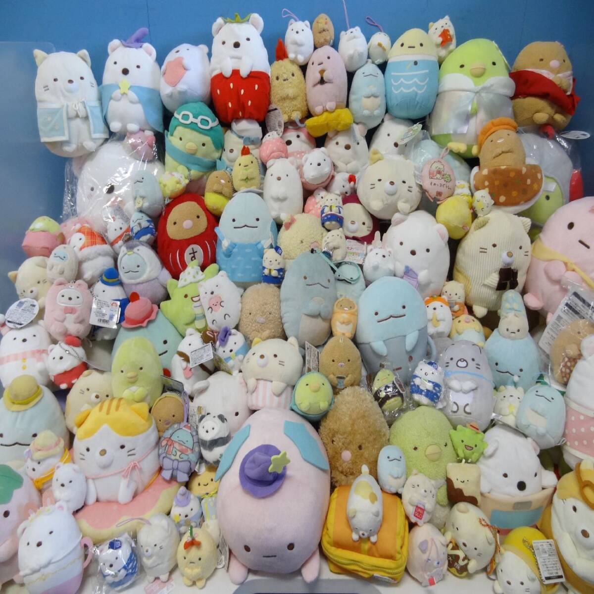 新品】☆ディズニー ふしぎの国の アリス パンとバターフライ