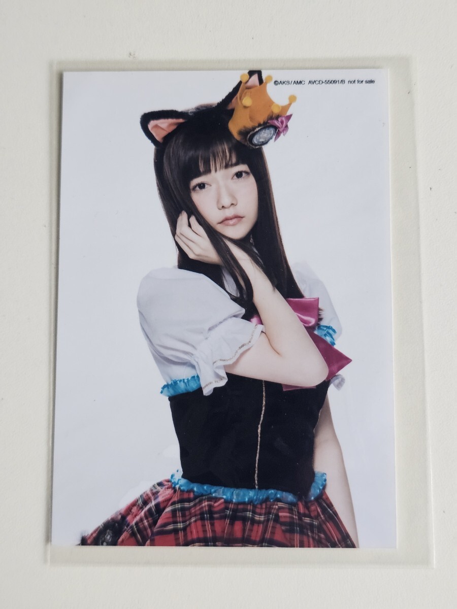 新品】AKB48 島崎遥香 A4クリアファイル ニャーKB with ツチノコパンダ