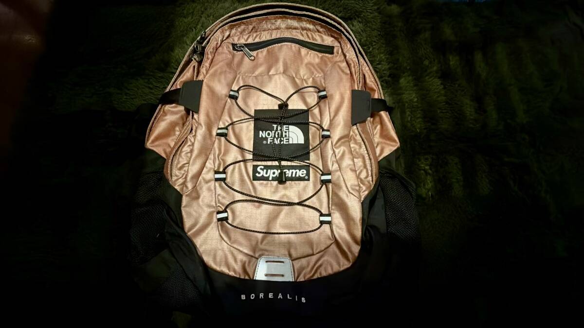 THE NORTH FACE ザ ノースフェイス/BOREALIS ボレアリス/チェック柄 