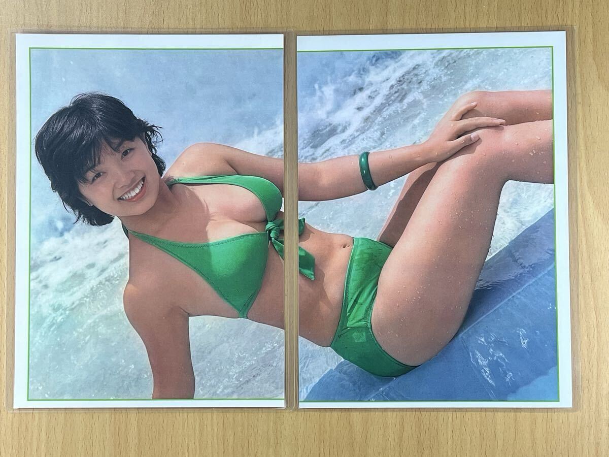 榊原郁恵 切り抜き 0.5ページ 送料無料の落札情報詳細 - Yahoo
