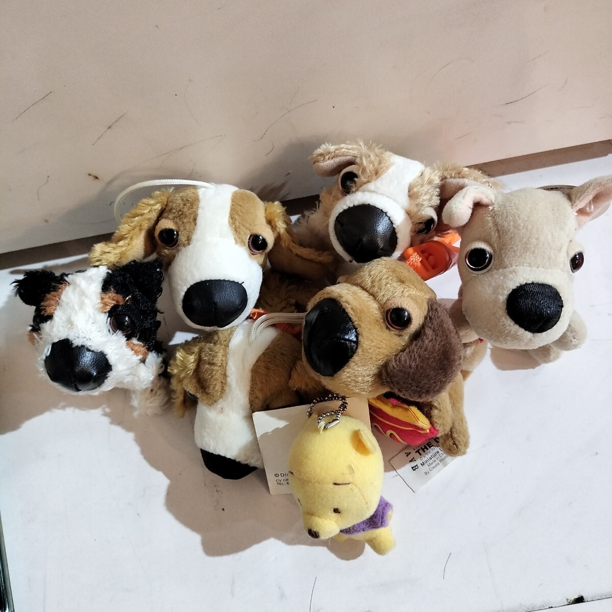 中古】【THE DOG】愛らしいワンちゃんがポケットから覗く、全30種類