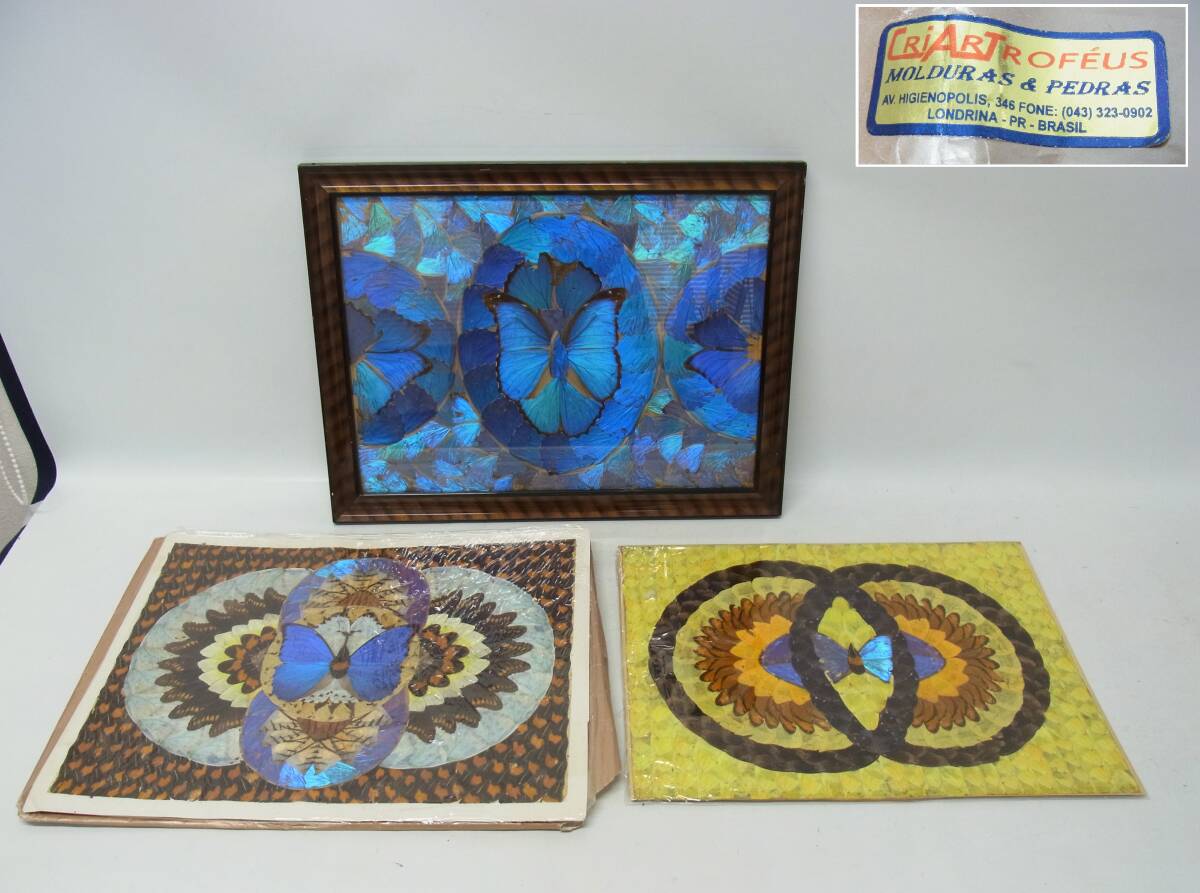 中古】916/□モルフォ蝶 羽絵アート 羽細工 絵画 額装の落札情報詳細