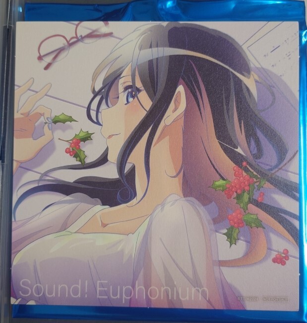 新品】【1円スタート！】響け！ユーフォニアム 田中あすか デカ布