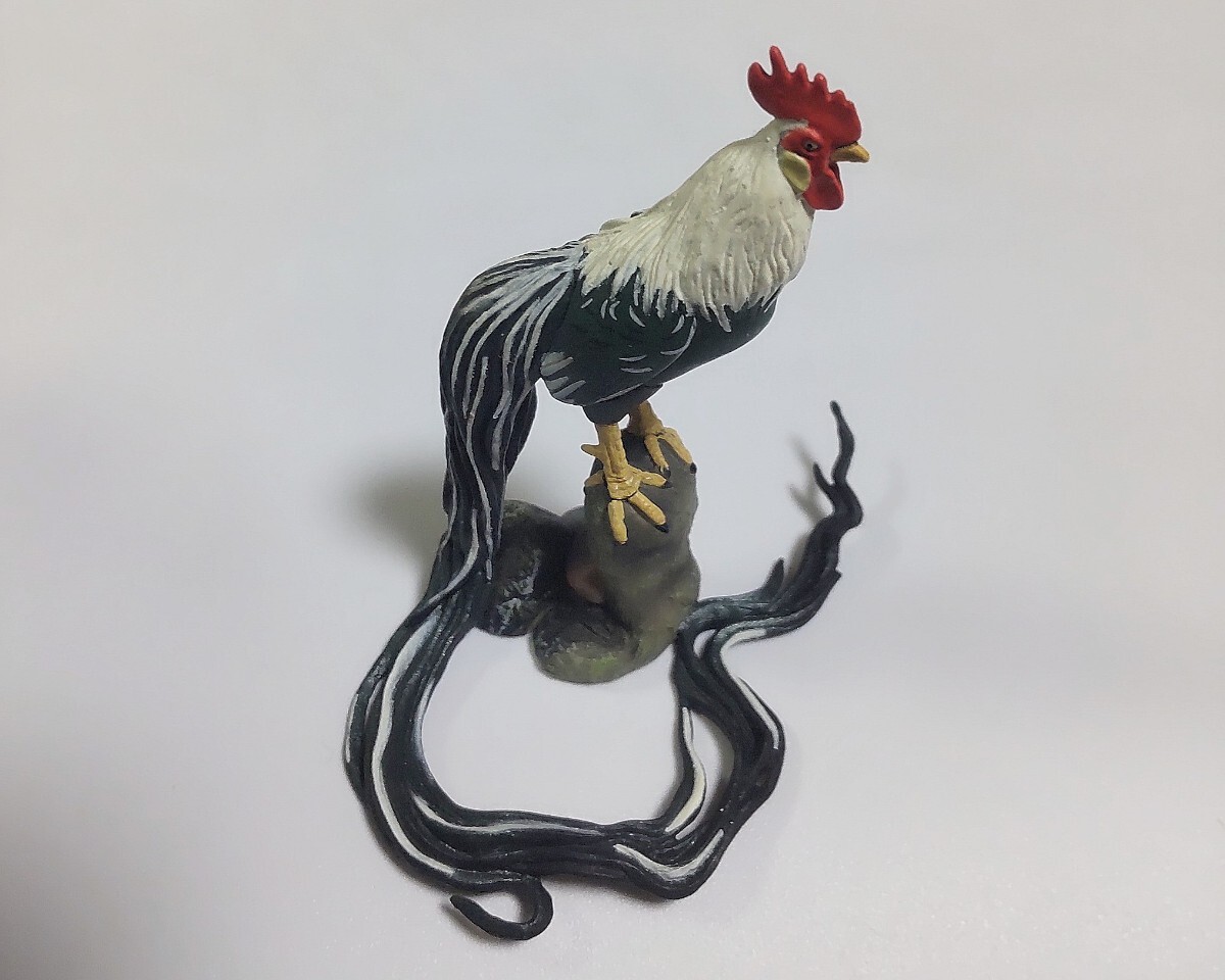 新品】オナガドリの卵 5個 尾長鶏 鶏卵 卵 の落札情報詳細 - Yahoo