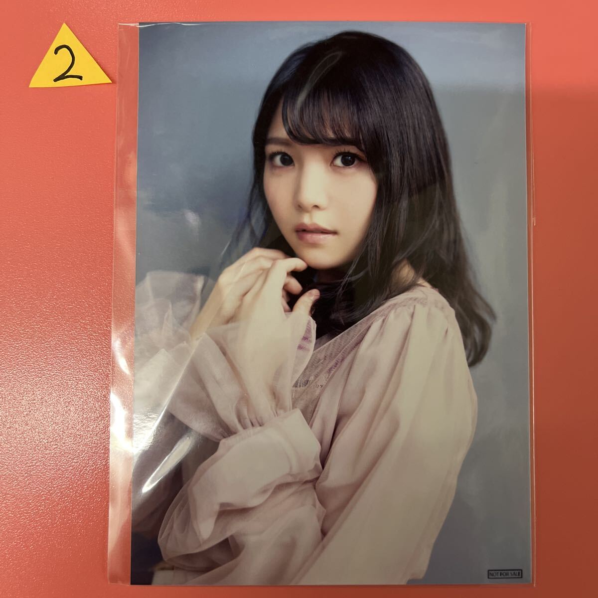 中古】声優ゆめ日記 ～上田麗奈～ 声優アニメディア 出演:上田麗奈