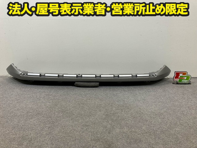 T31エクストレイル純正リアアンダーカバー リヤ スキッドガード H5901