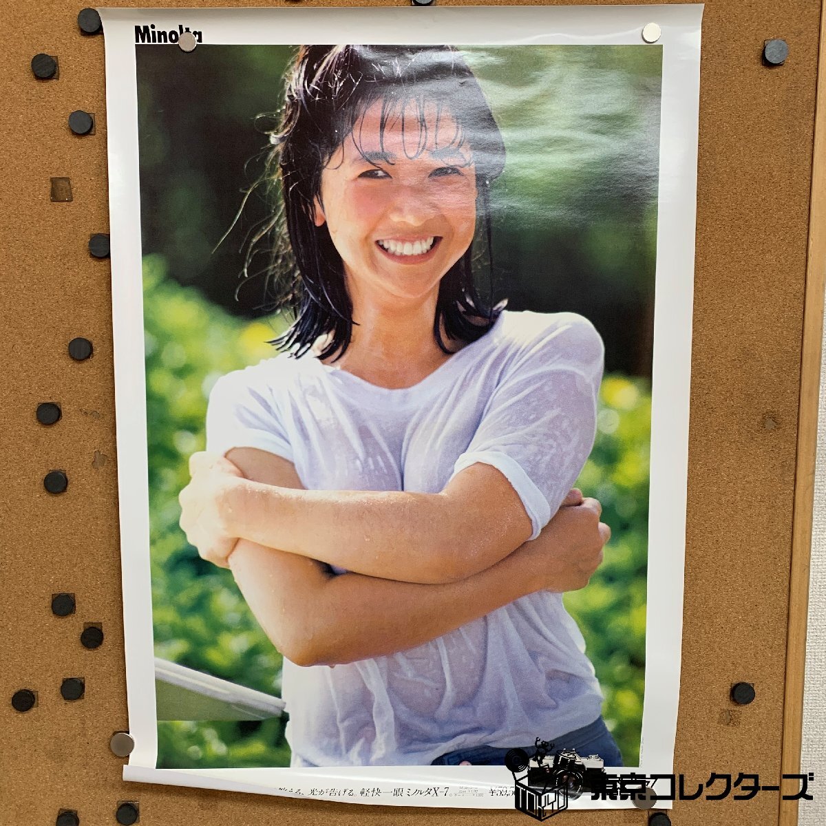 ◇宮崎美子 ミノルタCM 木製パネル 水着 ポスターの落札情報詳細