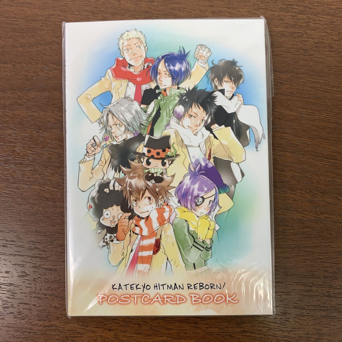 非売品*獄寺隼人*家庭教師ヒットマンREBORN!リボーン 文庫版*初回出荷