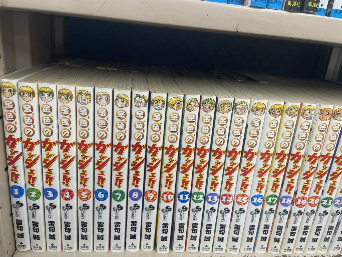 全初版 帯付き【金色のガッシュ】 全33巻 雷句誠 全巻初版セット 帯付