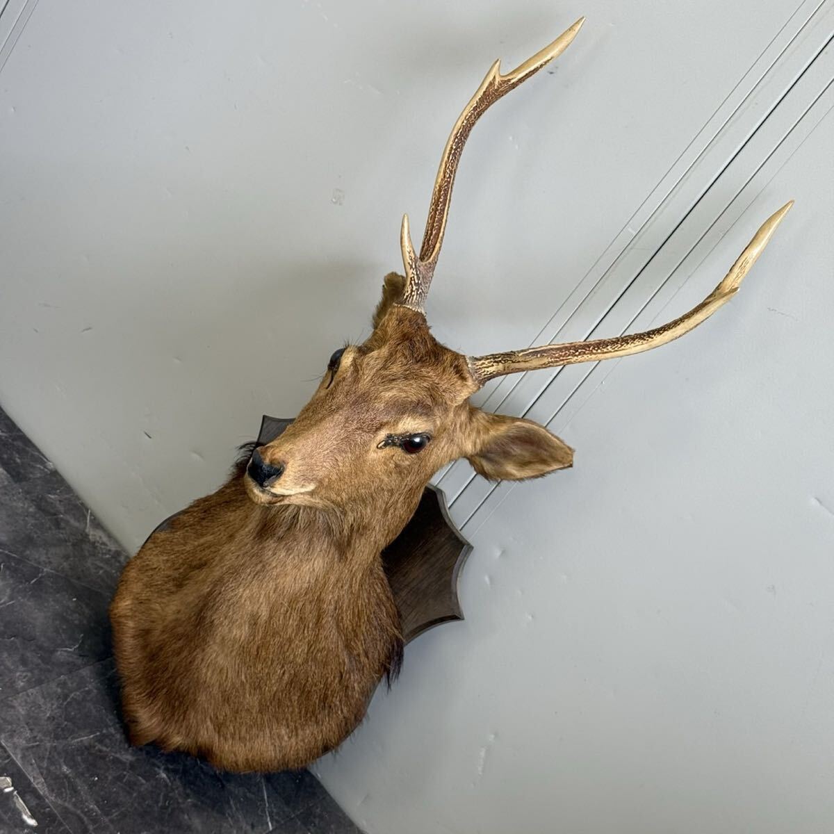 鹿のトロフィーオブジェ ラタン バンビ 壁掛け 壁飾り 動物 ウォール