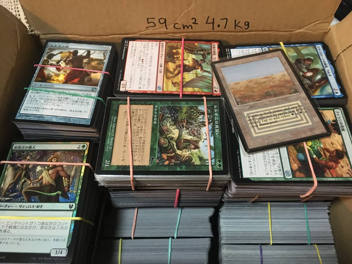 中古】MTG デュアルランド 白黒 土地 スクラブランド Scrublandの