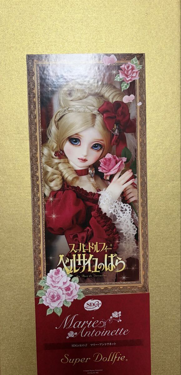やや傷や汚れあり】Pullip プーリップ Marie Antoinette マリー