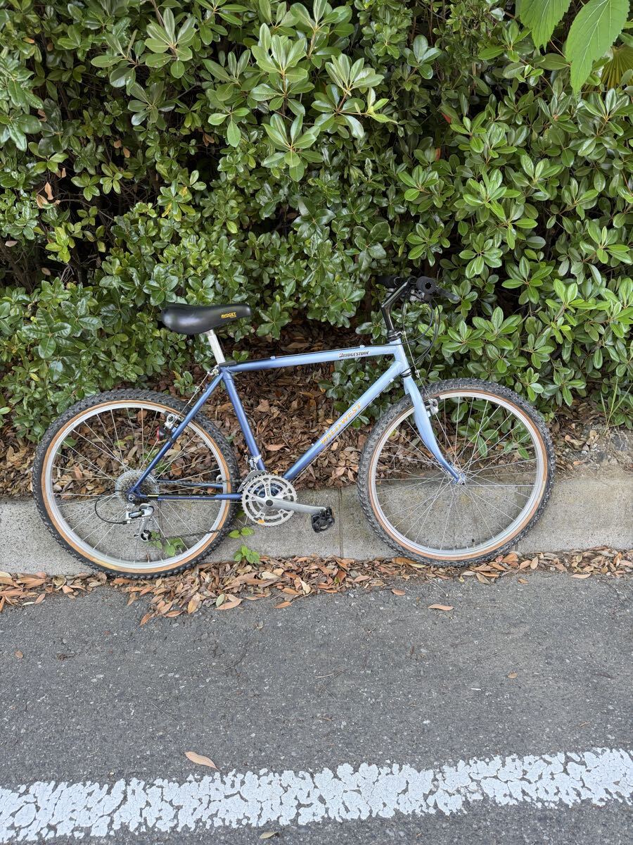 ブリヂストン/22インチ/子供用自転車/エコパル/ECOPAL/ブルー水色