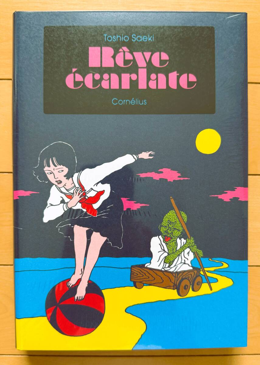 絶版 希少本 画集 淫剣花 : 佐伯俊男 / Toshio Saeki / 初版 / 帯付き