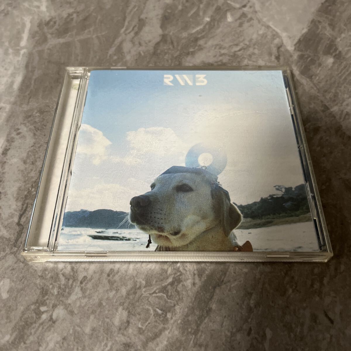 猿ジャケ RADWIMPSインディーズCDの落札情報詳細 - Yahoo!オークション
