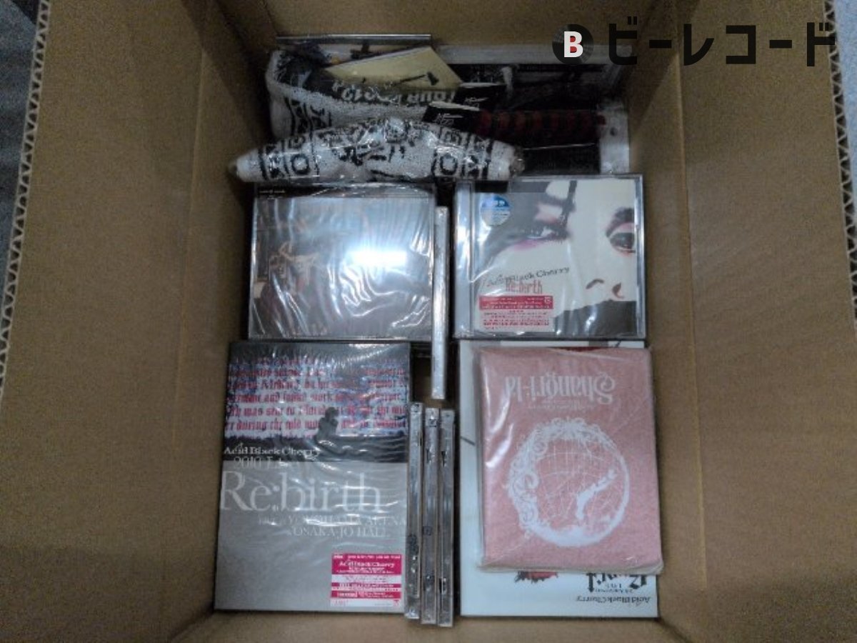 Acid Black Cherry 写真集「BLACKBOX」ポストカード付き 検索：yasu