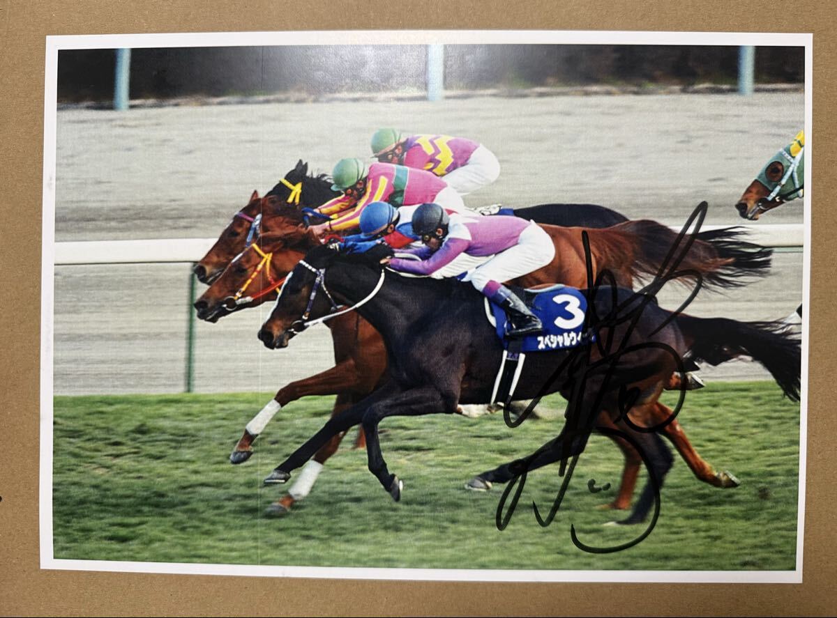 1999年 有馬記念 現地馬券 グラスワンダー スペシャルウィークの落札
