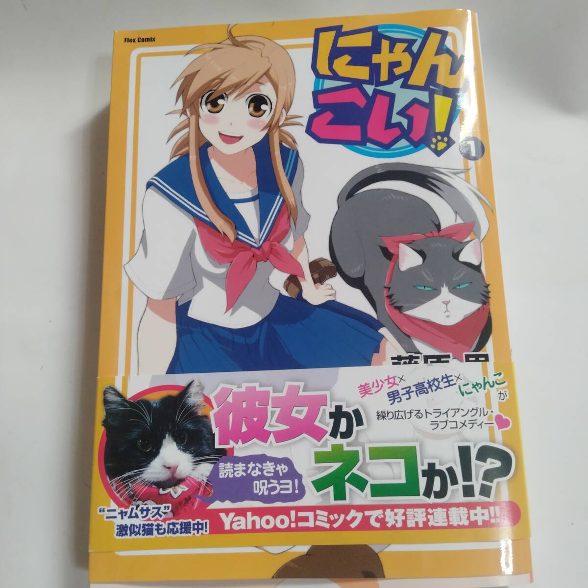 しなま 直筆イラストサイン本「いきなり幼なじみ!!」　直筆イラスト入り　サイン本 目立った傷や汚れなし】直筆イラスト入りサイン本 しなま いきなり