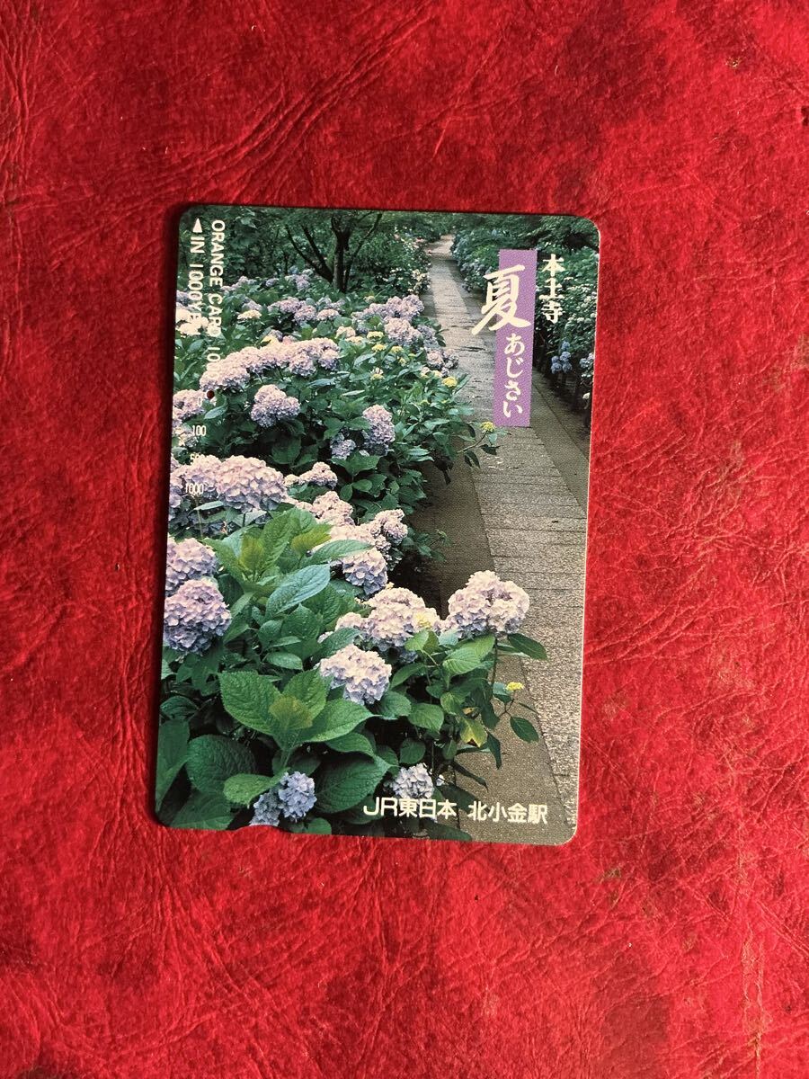 中古】◇ 切り絵作家 石井一臣 「あじさい寺」 ◇の落札情報詳細