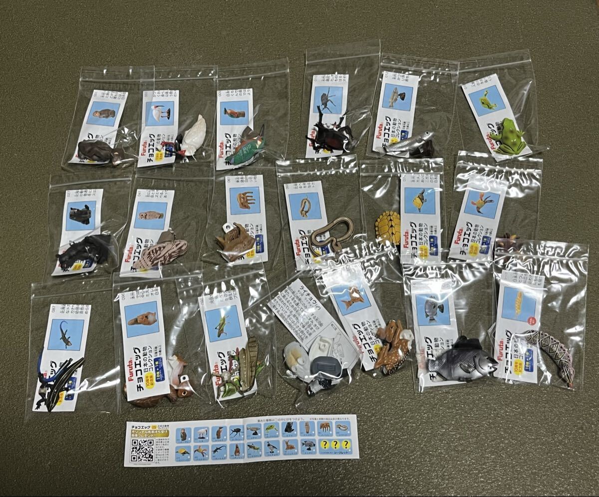 海洋堂 フルタ チョコエッグ ペット動物コレクションボックス 第1弾
