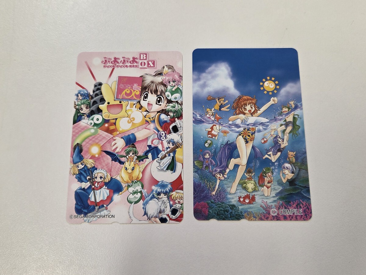 新品】☆同人 手描き イラスト 【 魔導物語 】 アルル・ナジャ ☆ A4