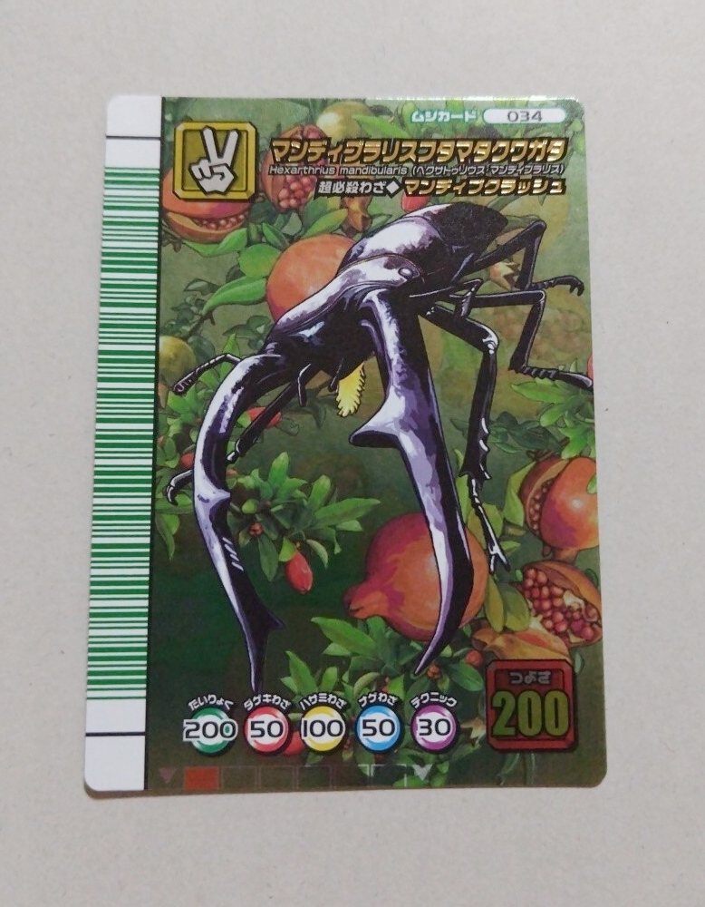 ムシキング　コレクション大放出　DS付き　引退 旧ムシキング 5周年 コレクションカード1弾 ほぼコンプ 114種 キラレア