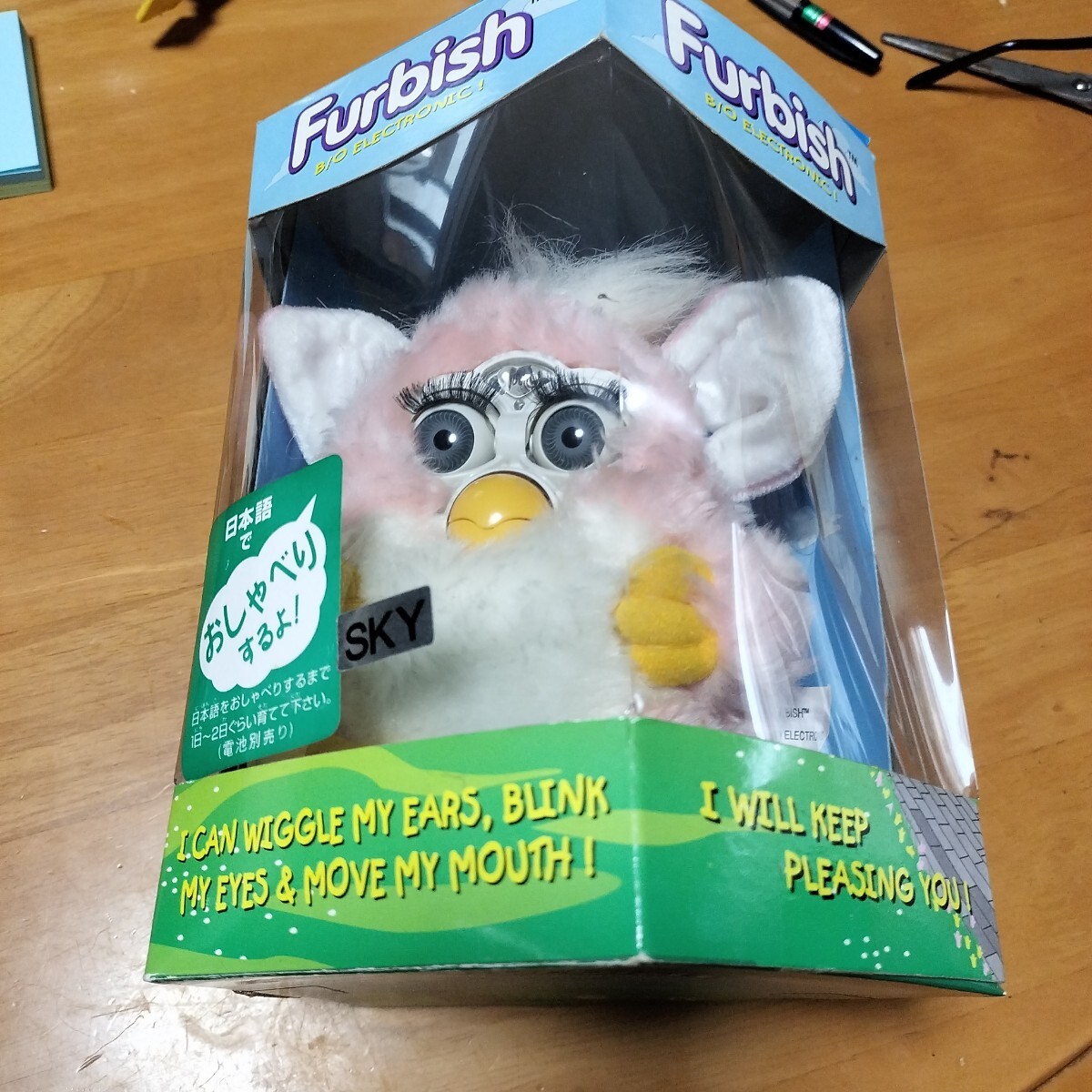 新品】超レア！珍品？1999年？Furbish！ファービッシュ！新品！未使用
