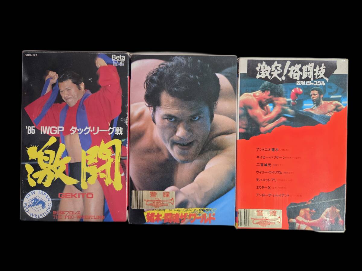 バンダイ ザ・プロレスラー 消しゴム 炎の飛龍 藤波辰巳 マッチョ