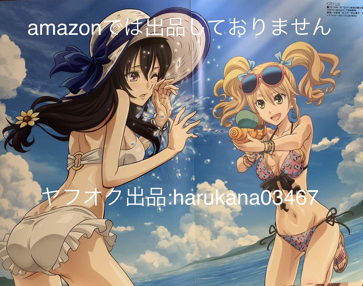 新品】A3 ピンナップポスター 刀使ノ巫女 十条姫和 / citrus シトラス