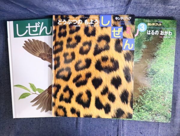 キンダーブックしぜん どうぶつのもよう キンダーブックしぜん 動物の