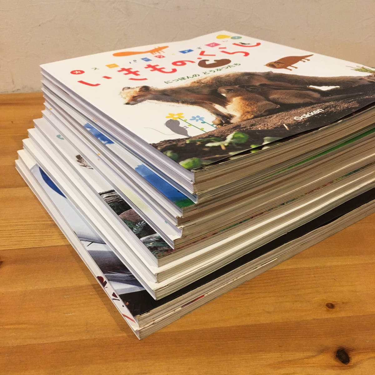 学研 スーパーワイドずかん 全12巻セット 送料無料 スーパーワイドず