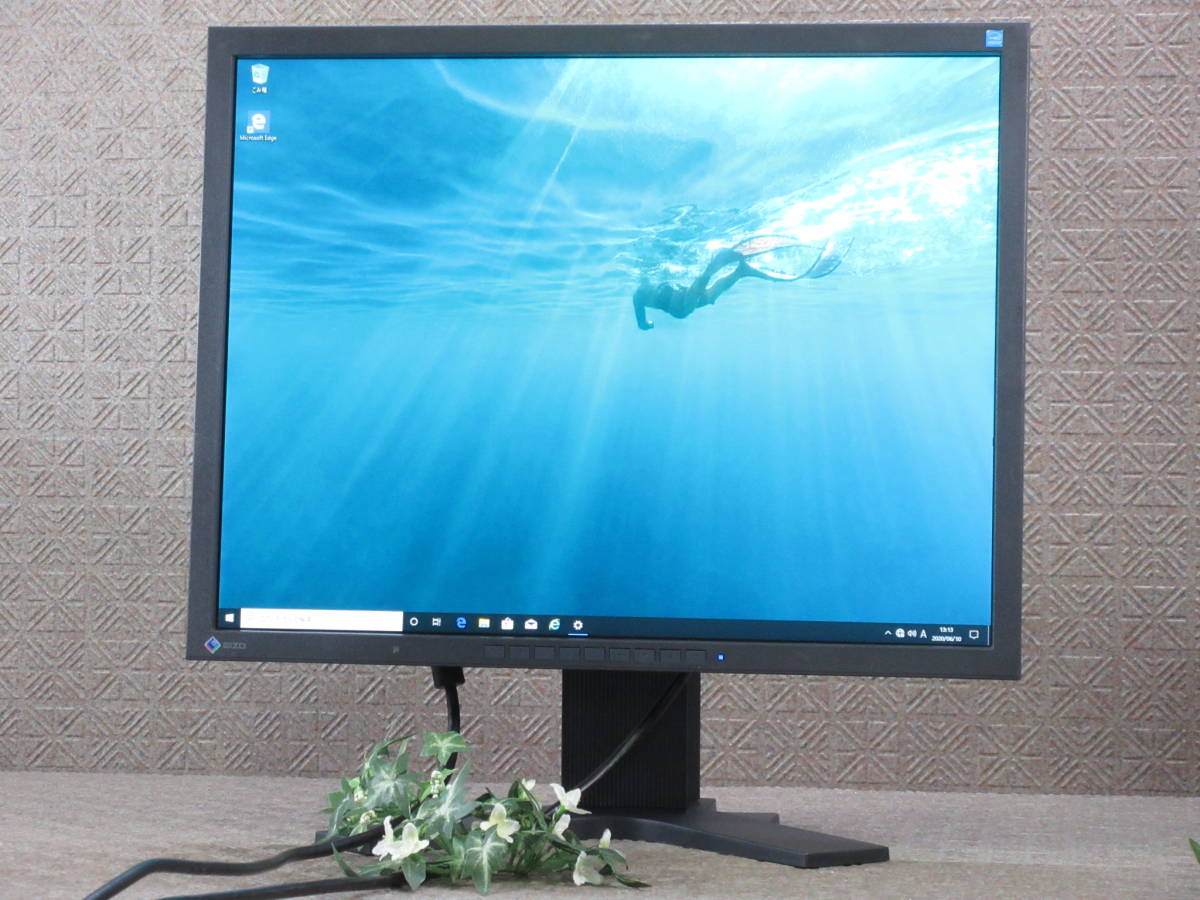 EIZO S2133-HBK 21.3型 カラーマネジメントモニターIPSパネル EIZO