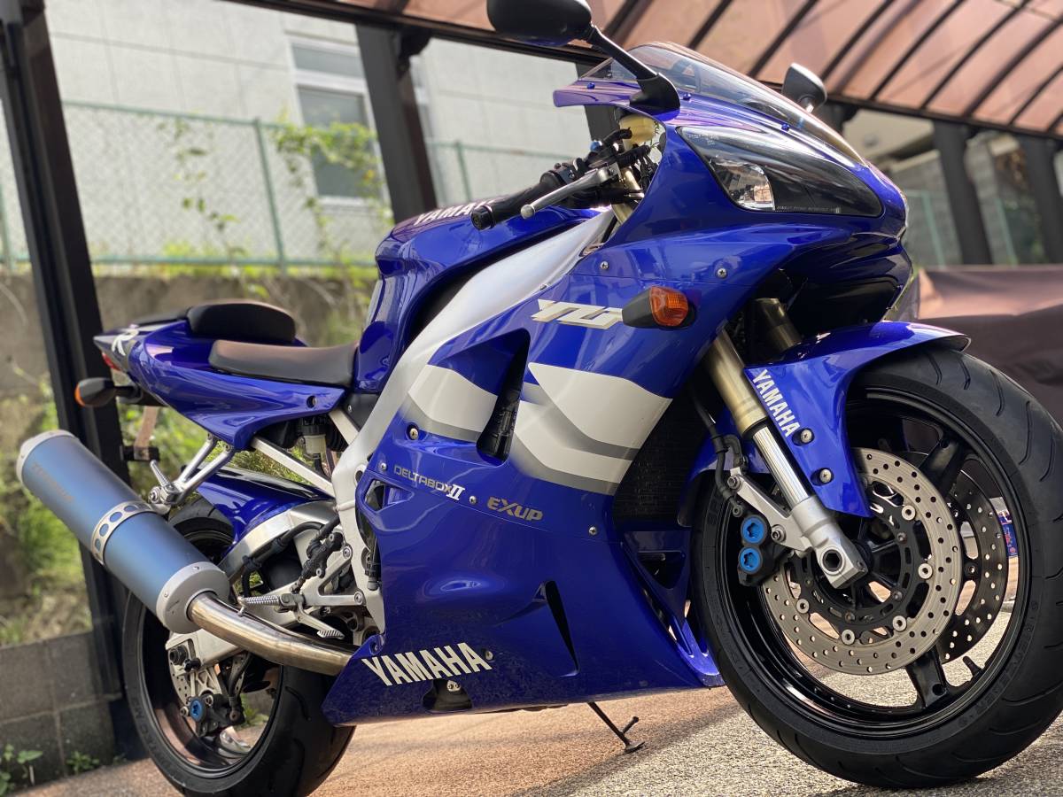 アメジスト＆マザーオブパール マーメイドカービング 6粒 ◇r3203-D