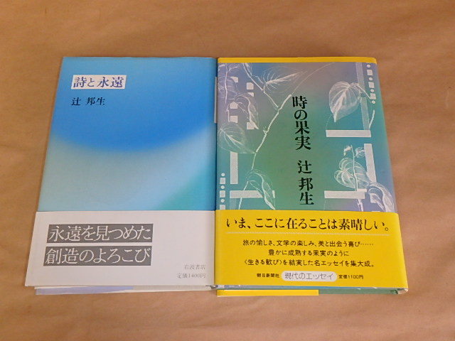 辻邦生 小説19冊セット やさしい 
