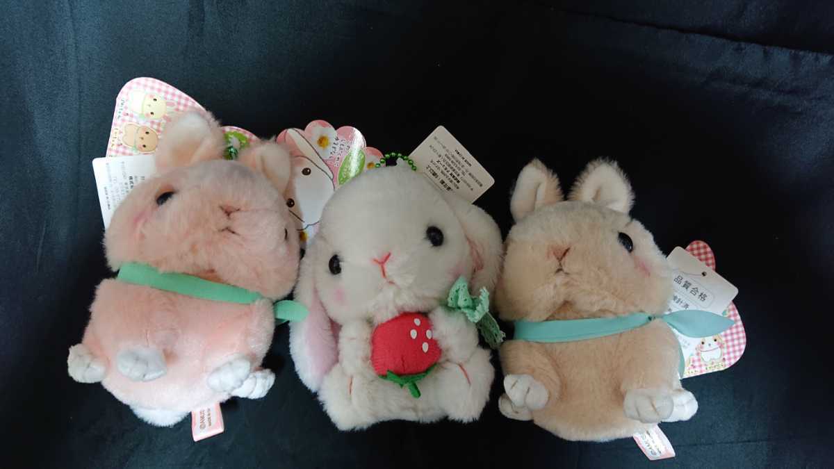 新品 ぽてうさろっぴー ガーリー キュンとなきうさぎ ぬいぐるみ マスコット 3種 しろっぴー イチゴ ぴぴちゃん もかちゃん ネザーランド の落札情報詳細 ヤフオク落札価格情報 オークフリー スマートフォン版