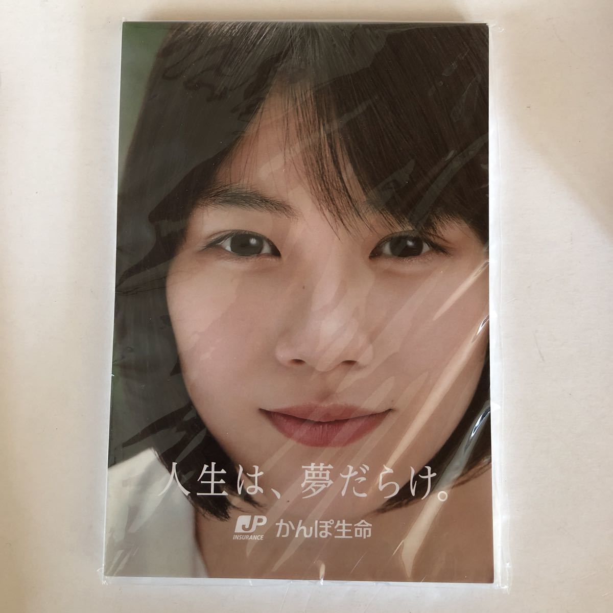 Amazon.co.jp: のん 能年玲奈 かんぽ生命 人生は、夢だらけ