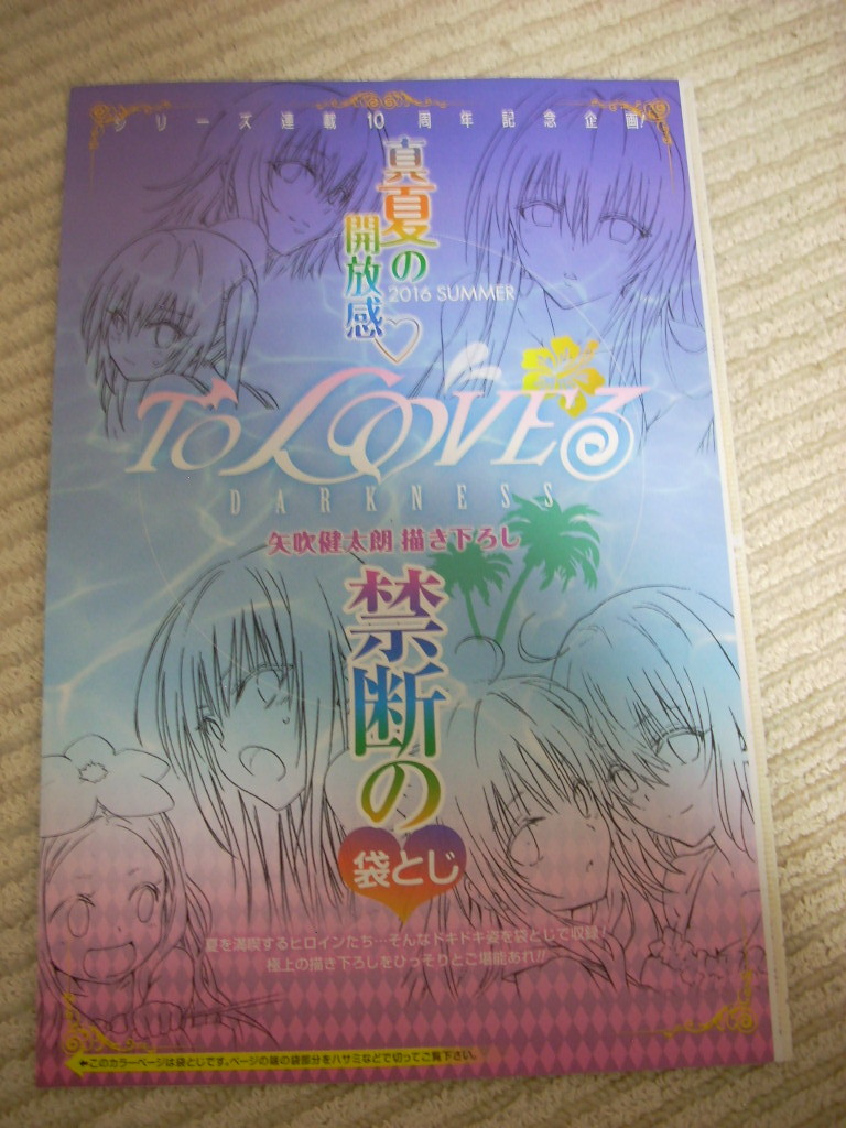 Allカラー袋とじ付 ToLOVEるDarkness クリアファイル