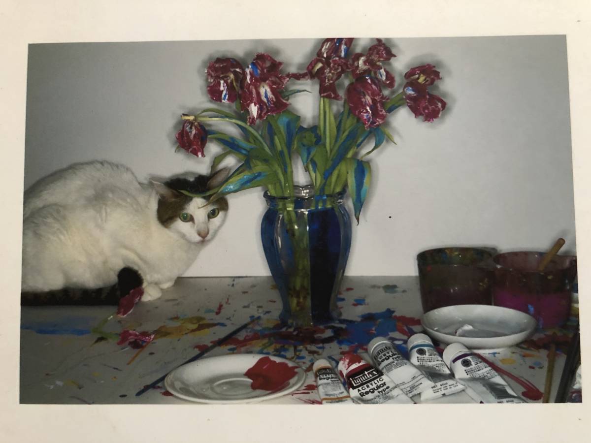 nobuyoshiaraki 貴重！荒木経惟 写真展図録「色情花(私家版)」初版 カラーコピー28頁 非売品 / NobuyoshiAraki検)村上隆Supreme奈良美智KaoRi横尾忠則kawsの落札情報詳細  - Yahoo!オークション落札価格検索 オークフリー