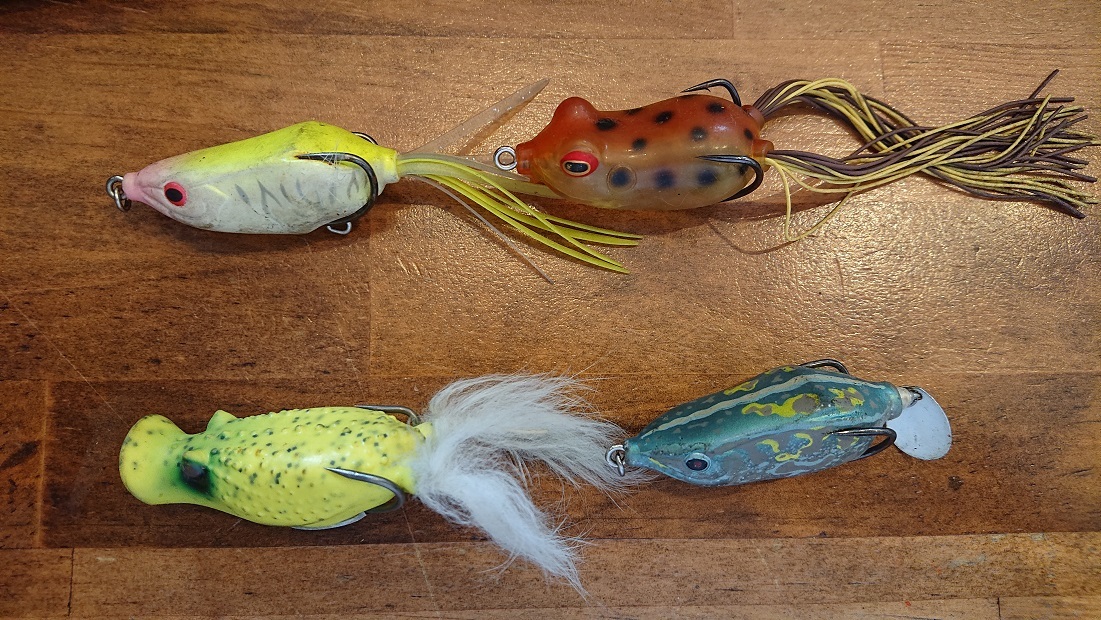 売れ筋ランキング O S Pフロッグ セット 直営特価の通販サイト Ptsp Anambaskab Go Id