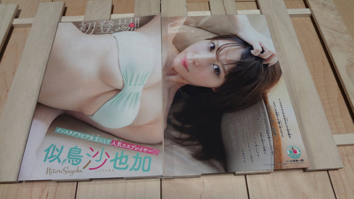 似鳥沙也加 インスタグラビアの女王 人気コスプレイヤー 彡雑誌切抜b５ラミネート11p T164bw58h 美尻 美脚 美乳 L28 の落札情報詳細 ヤフオク落札価格情報 オークフリー スマートフォン版