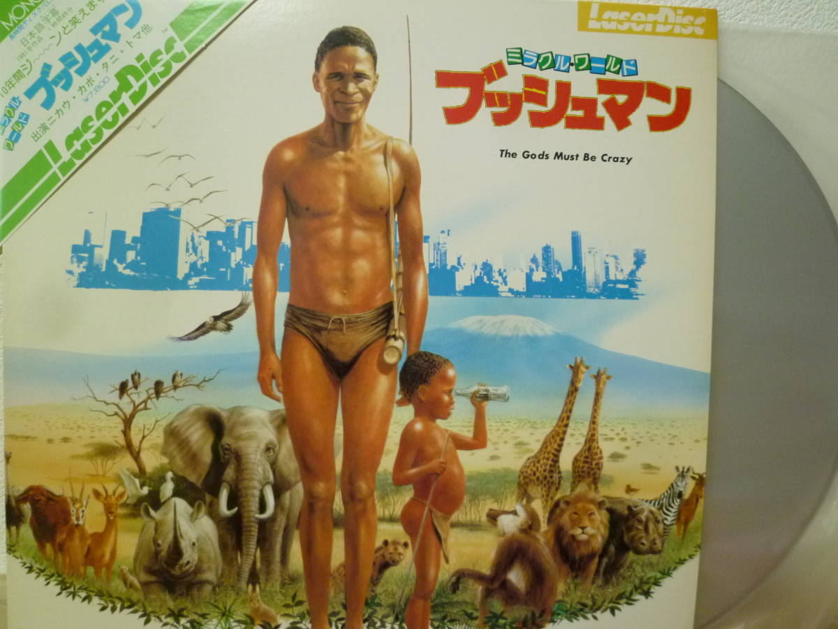 コイサンマン／ニカウ コイサンマン ブッシュマン DVD ニカウさん 映像