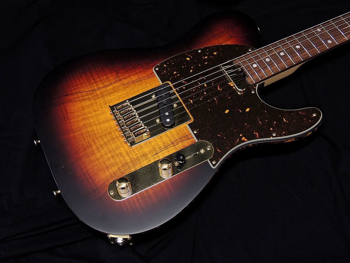 新品 Schecter Ps Pt Sp Pf 3ts シェクターテレキャスタータイプ スポルテッドメイプル 限定生産モデル 送料無料 新品アウトレット の落札情報詳細 ヤフオク落札価格情報 オークフリー スマートフォン版