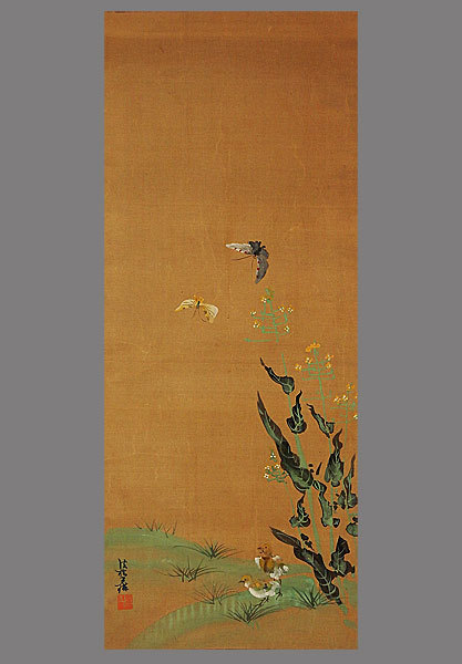 真作】□尾形光琳□花蝶小禽図□二重箱□琳派祖□肉筆□掛軸□掛け軸