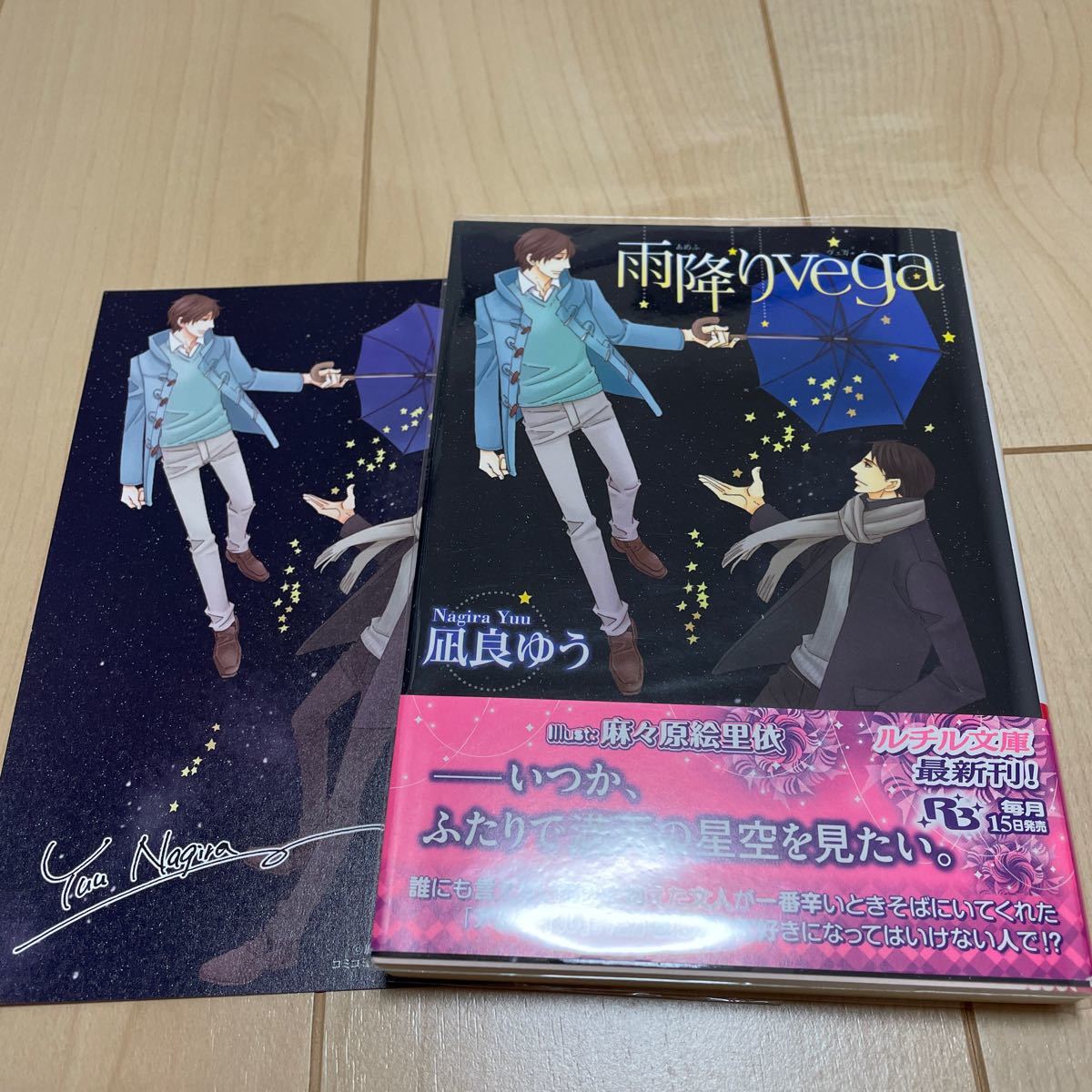 凪良ゆう 雨降りvega 幻冬舎ルチル文庫 カード付き の落札情報詳細 ヤフオク落札価格情報 オークフリー